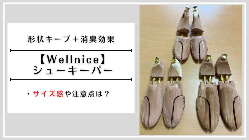 Wellnice シューキーパー